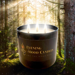 A lit Dyana Mood Candle glowing in a forest setting.
